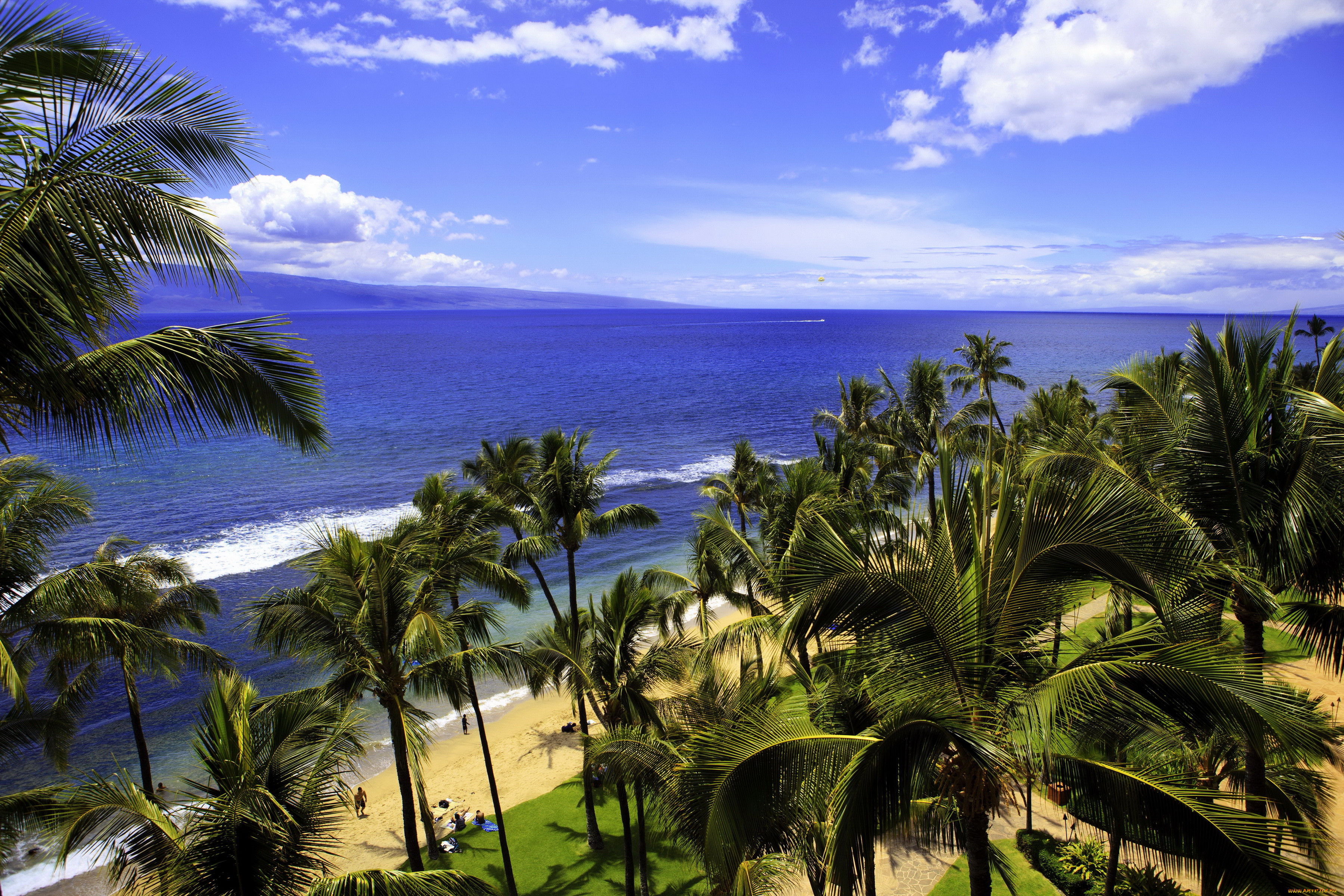 hawaii, , 